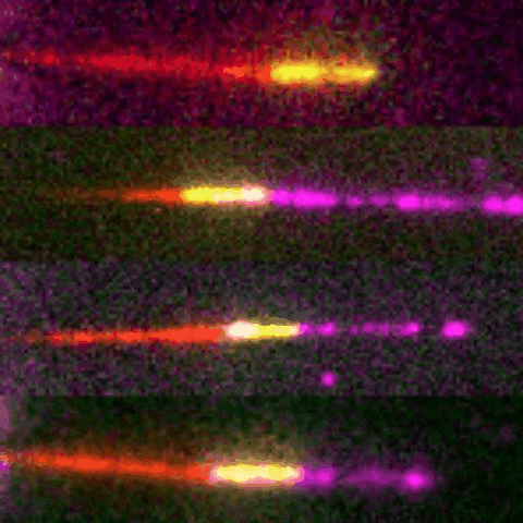 fourvelocities 480px fourvelocities 480px